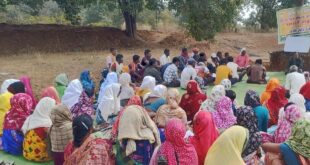 50 वर्षों बाद धमतरी के आदिवासी अंचल में रबी खेती की वापसी : 35 एकड़ में रागी उत्पादन से बदली खेती की तस्वीर…