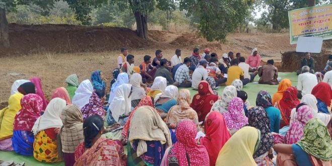 50 वर्षों बाद धमतरी के आदिवासी अंचल में रबी खेती की वापसी : 35 एकड़ में रागी उत्पादन से बदली खेती की तस्वीर…