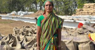 ’धान खरीदी व्यवस्था ने बदली महिला किसान चौती बाई की ज़िंदगी’….