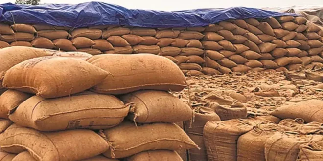 धान उपार्जन व्यवस्था में पारदर्शिता सुनिश्चित करने राज्यभर में सघन कार्रवाई….