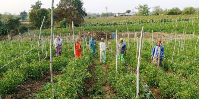 बिहान योजना से आत्मनिर्भर बनीं द्रौपती बांधे बनी लखपति दीदी: प्रतिमाह कमा रहीं 50 हजार रूपए….