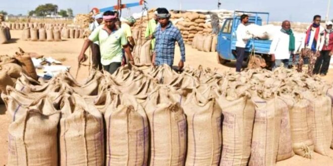 समर्थन मूल्य पर धान खरीदी में बड़ी कार्रवाई — अनियमितताओं के आरोप में 38 कर्मचारी दंडित, 31 निलंबित, 3 पर एफआईआर, 1 की सेवा समाप्त…