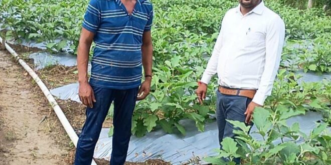 राष्ट्रीय कृषि विकास योजना से बदली किसान की किस्मत: सब्जी उत्पादन से किसान दादू राम मनहर बने आत्मनिर्भर….