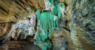 कांगेर घाटी में मिली अनोखी ‘ग्रीन गुफा’: जल्द खुलेंगे पर्यटन के नए द्वार….