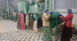 सशक्त मानसिकता से आत्मनिर्भरता की ओर: पोषण निर्माण में अहम भूमिका निभा रही हैं सूरजपुर की महिलाएं…..