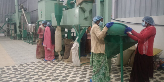 सशक्त मानसिकता से आत्मनिर्भरता की ओर: पोषण निर्माण में अहम भूमिका निभा रही हैं सूरजपुर की महिलाएं…..