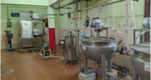 वन विभाग का नवाचार : बस्तर की इमली चटनी को राष्ट्रीय पहचान दिलाएंगी सुकमा की महिलाएं…..