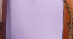 पहाड़ों में बर्मा के बिना अधूरा माना जाता है शुभ कार्य, जानें 108 तिनकों से बने देवताओं के इस पवित्र आसन का रहस्य