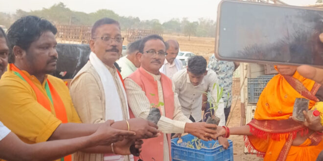 मुख्यमंत्री साय के जन्मदिवस पर पादप बोर्ड द्वारा 2100 औषधीय पौधों का वितरण….