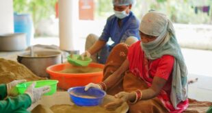 महिला शक्ति और वनोपज का सफल संगम, हरिबोल स्व-सहायता समूह ने रचा आर्थिक सशक्तिकरण का उदाहरण….