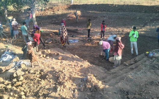 मछली पालन और खेतों की सिंचाई का आधार बनेगी आजीविका डबरी- विशेष पिछड़ी जनजाति बैगा समुदाय के दिव्यांग अंधरू बैगा के लिए मनरेगा की पहल बनी वरदान….