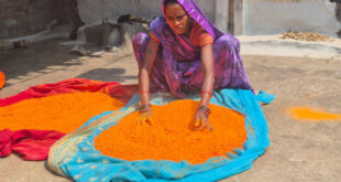 हर्बल गुलाल से और भी रंगीली होगी होली: विभिन्न रंगों और आकर्षक पैकेजिंग के साथ समूह द्वारा निर्मित हर्बल गुलाल….