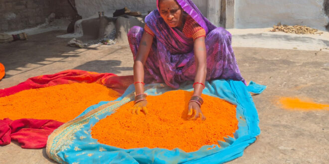 हर्बल गुलाल से और भी रंगीली होगी होली: विभिन्न रंगों और आकर्षक पैकेजिंग के साथ समूह द्वारा निर्मित हर्बल गुलाल….