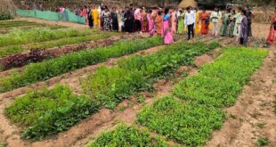 बस्तर के नवाचार देख उत्साहित हुईं बिलासपुर की दीदियाँ, एक्सपोजर विजिट में सीखीं इंटीग्रेटेड फार्मिंग की बारीकियां….