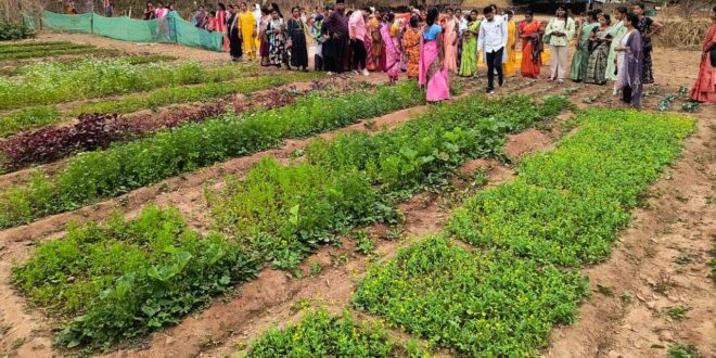 बस्तर के नवाचार देख उत्साहित हुईं बिलासपुर की दीदियाँ, एक्सपोजर विजिट में सीखीं इंटीग्रेटेड फार्मिंग की बारीकियां….
