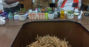 बस्तर और सरगुजा में औषधीय पौधों की योजनाओं का होगा विस्तार : विकास मरकाम….