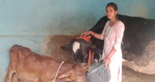 मेडिकल लैब से माटी तक, आरती ने पशुधन से लिखी सफलता की नई कहानी, अच्छी नौकरी छोड़ गांव में रचा आत्मनिर्भरता का मॉडल….