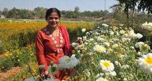 बिहान योजना से खिला रत्ना का भविष्य- फूलों की खेती से बनीं सफल उद्यमी….