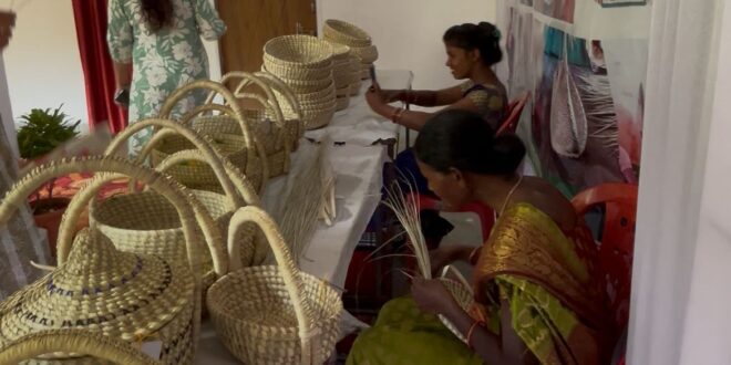 पारंपरिक हस्तशिल्प उत्पाद बना आजीविका का साधन: स्व सहायता समूह से जुड़कर कांसाबेल की महिलाओं ने स्वरोजगार की राह अपनाई….