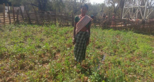 महतारी वंदन योजना से बदली जिंदगी की तस्वीर : श्रीमती सुखी पुनेम बनीं आत्मनिर्भरता और पोषण की मिसाल….