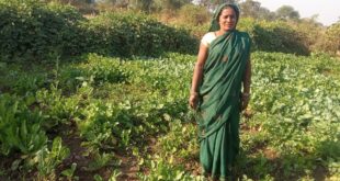 मुख्यमंत्री विष्णु देव साय के सुशासन में महिलाओं को मिला आत्मनिर्भरता का संबल, बालोद की रोहनी बनीं उद्यमिता की मिसाल….