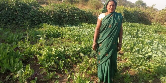 मुख्यमंत्री विष्णु देव साय के सुशासन में महिलाओं को मिला आत्मनिर्भरता का संबल, बालोद की रोहनी बनीं उद्यमिता की मिसाल….