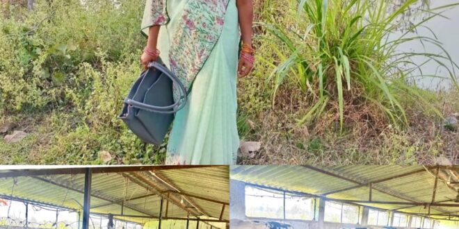 मछली पालन से बदली लक्ष्मी की जिंदगी, सढ़ौली की लक्ष्मी ठाकुर बनी आर्थिक सशक्तिकरण की मिसाल….