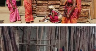 सेंट्रिंग प्लेट के व्यवसाय से बढ़ा महिलाओं में आत्मविश्वास और आय: ‘बिहान’ से सशक्त हो रहीं धमतरी जिले की ग्रामीण महिलाएं….