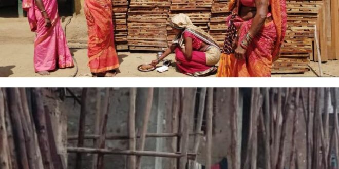 सेंट्रिंग प्लेट के व्यवसाय से बढ़ा महिलाओं में आत्मविश्वास और आय: ‘बिहान’ से सशक्त हो रहीं धमतरी जिले की ग्रामीण महिलाएं….