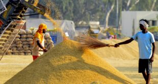 किसानों के सम्मान और पारदर्शी डिजिटल प्रणाली से सफल हुआ धान खरीदी का महाअभियान: खाद्य मंत्री बघेल….