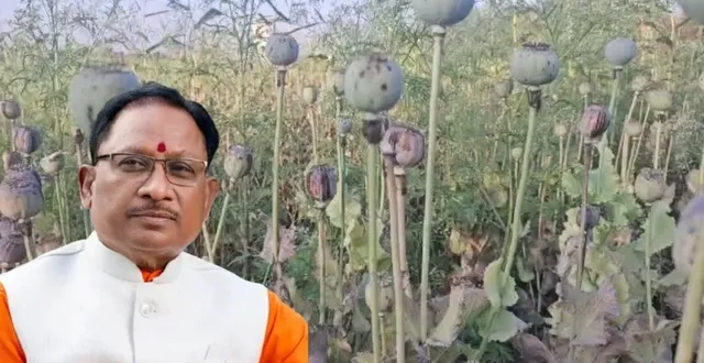 अफीम की खेती पर सख्त हुए मुख्यमंत्री विष्णु देव साय, संलिप्त लोगों के विरुद्ध की गई कड़ी कार्रवाई…..