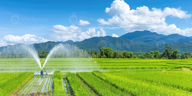 किकिरगेटा उद्वहन सिंचाई योजना हेतु 30.68 करोड़ की पुनरीक्षित स्वीकृति….