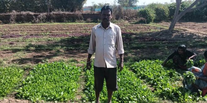 डबरी बनी स्थायी आजीविका का आधार : जल संरक्षण के साथ बढ़ी आय….