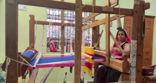 हाथ करघे से कमाई तक- ग्राम नारी की महिलाओं की सफलता का राज….