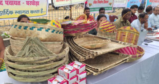 आत्मनिर्भरता की मिसाल बनीं ग्रामीण महिलाएं, गृह उद्योग और हस्तशिल्प से संवर रहा भविष्य…..