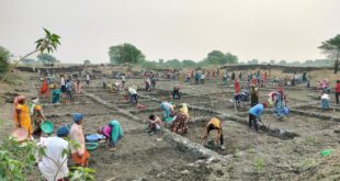 सर्वाधिक परिवारो को रोजगार, सर्वाधिक मानव दिवस का रोजगार सहित सर्वाधिक दिव्यांगजनों को रोजगार देने के मामले में कबीरधाम प्रदेश में प्रथम स्थान पर….