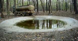 भीषण गर्मी में वन्यजीवों के लिए ‘संजीवनी’ बना बारनवापारा, जल प्रबंधन का ऐसा मॉडल जो पूरे देश के लिए बना मिसाल…..