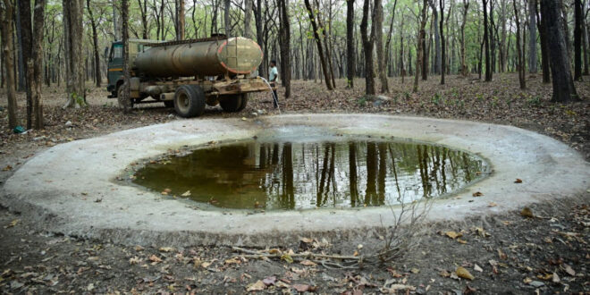 भीषण गर्मी में वन्यजीवों के लिए ‘संजीवनी’ बना बारनवापारा, जल प्रबंधन का ऐसा मॉडल जो पूरे देश के लिए बना मिसाल…..