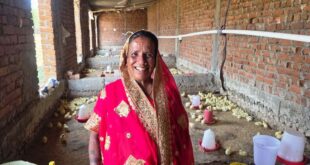 मजदूरी छोड़ ‘लखपति दीदी’ बनीं मति बाई, मुर्गी पालन से संवर रहा परिवार का भविष्य…..