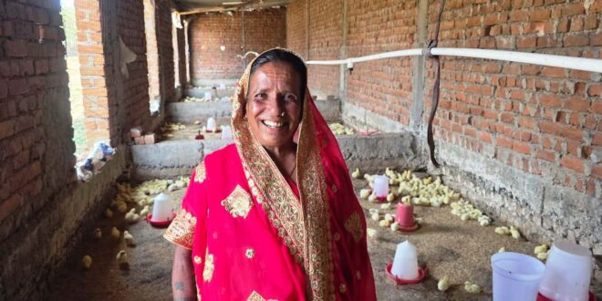मजदूरी छोड़ ‘लखपति दीदी’ बनीं मति बाई, मुर्गी पालन से संवर रहा परिवार का भविष्य…..