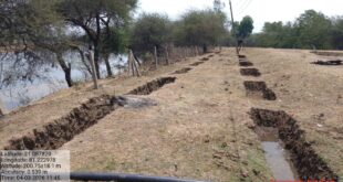 ‘मोर गांव मोर पानी महाभियान’ से जन-जन जुड़ा, दुर्ग बना जल संरक्षण का मॉडल….