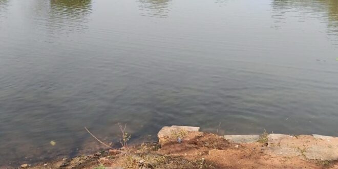 नहरों से सूखते तालाबों में जलभराव : भीषण गर्मी से बड़ी राहत, 4755 तालाब हुए लबालब, ’मुख्यमंत्री साय की मंशा के अनुरूप सूखते तालाबों को जीवनदान देने जल संसाधन विभाग का विशेष अभियान….