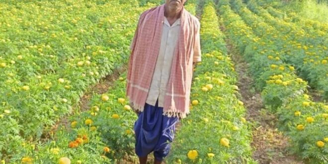 धान छोड़ फूलों की खेती ने बदली आनंदराम की तकदीर, 22 हजार के बदले कमाए 3 लाख रुपए, गेंदा उत्पादन से कोड़केल के किसान ने पेश की सफलता की मिसाल…..
