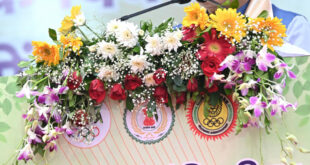 मुख्यमंत्री विष्णुदेव साय ने खिलाड़ियों का बढ़ाया उत्साह: 2036 पौधों के रोपण से ओलंपिक मेजबानी के संकल्प को दी नई ऊर्जा….