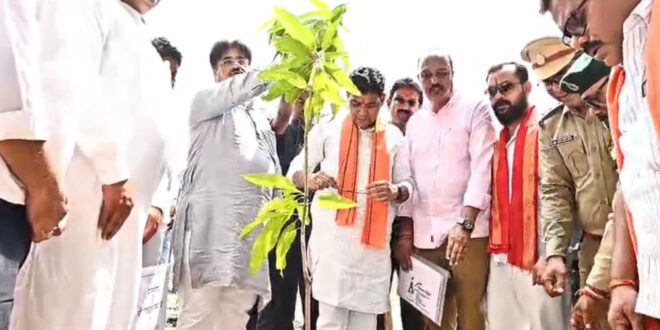 एक पेड़ मां के नाम” अभियान के तहत प्रभारी मंत्री टंकराम वर्मा ने किया पौधारोपण……