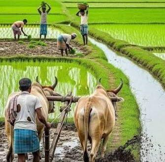प्रदेश में मानसून के दस्तक के साथ ही खेती-किसानी में तेजी, राज्य में 6.25 लाख हेक्टेयर क्षेत्र में लक्ष्य का 13 प्रतिशत बोनी पूर्ण…