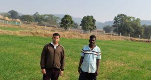 कम लागत, दोगुना फायदा : जशपुर के किसान ने गेहूं की खेती से बढ़ाई आमदनी, मुख्यमंत्री विष्णुदेव साय की पहल से कृषि विभाग के मार्गदर्शन का किसानों को मिल रहा लाभ….