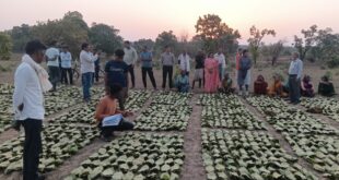 साय सरकार के सुशासन में तेन्दूपत्ता संग्राहकों को मिली आर्थिक मजबूती, 10,160 हितग्राहियों के खातों में पहुँची 1.39 करोड़ रुपये से अधिक की बोनस राशि….