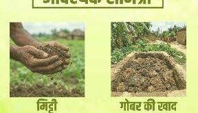 सीड बॉल अभियान- हरियाली बढ़ाने का सरल और प्रभावी माध्यम….