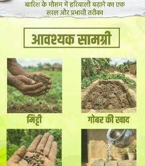 सीड बॉल अभियान- हरियाली बढ़ाने का सरल और प्रभावी माध्यम….